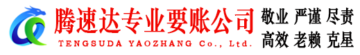 盐田腾速达清债公司